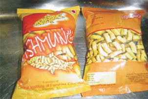 Ready-to-eat fish meat fortified snack Ready-to-eat fish meat fortified snack