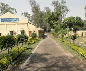 Powarkheda