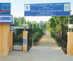 Rohtak