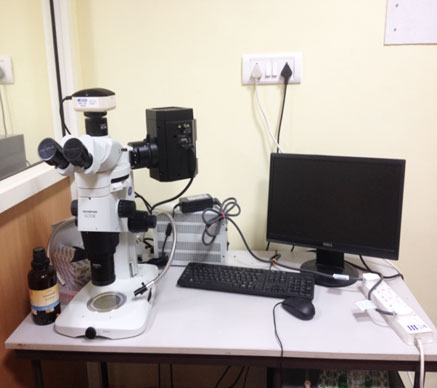 Aquatic Radiolecology Lab Image6 Aquatic Radiolecology Lab Image6