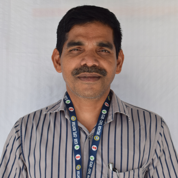 Dr. Sreedharan K. Dr. Sreedharan K.