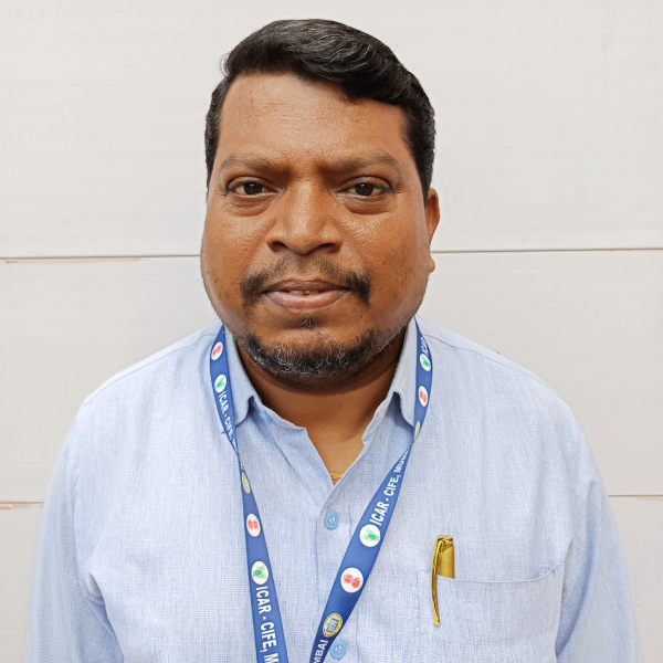 Mr. Raju N. Kamble