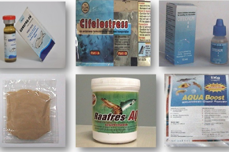 new-fnbp-products.jpg