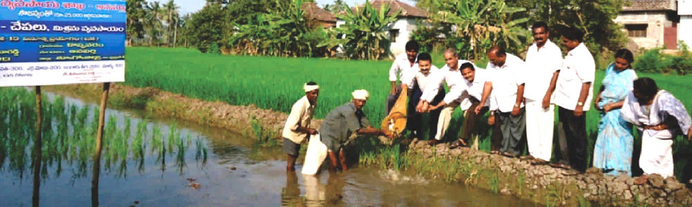 Kakinada