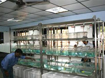 Electronmicroscope Laboratory Lab