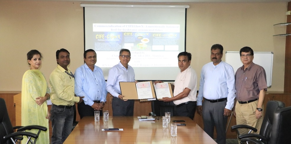 cife-glowx-feed-commercilisation-cife--14-11-2024.jpg