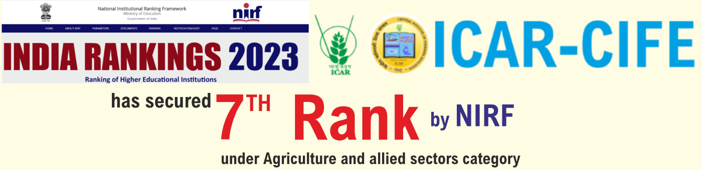 ranking-banner-5-6-2023