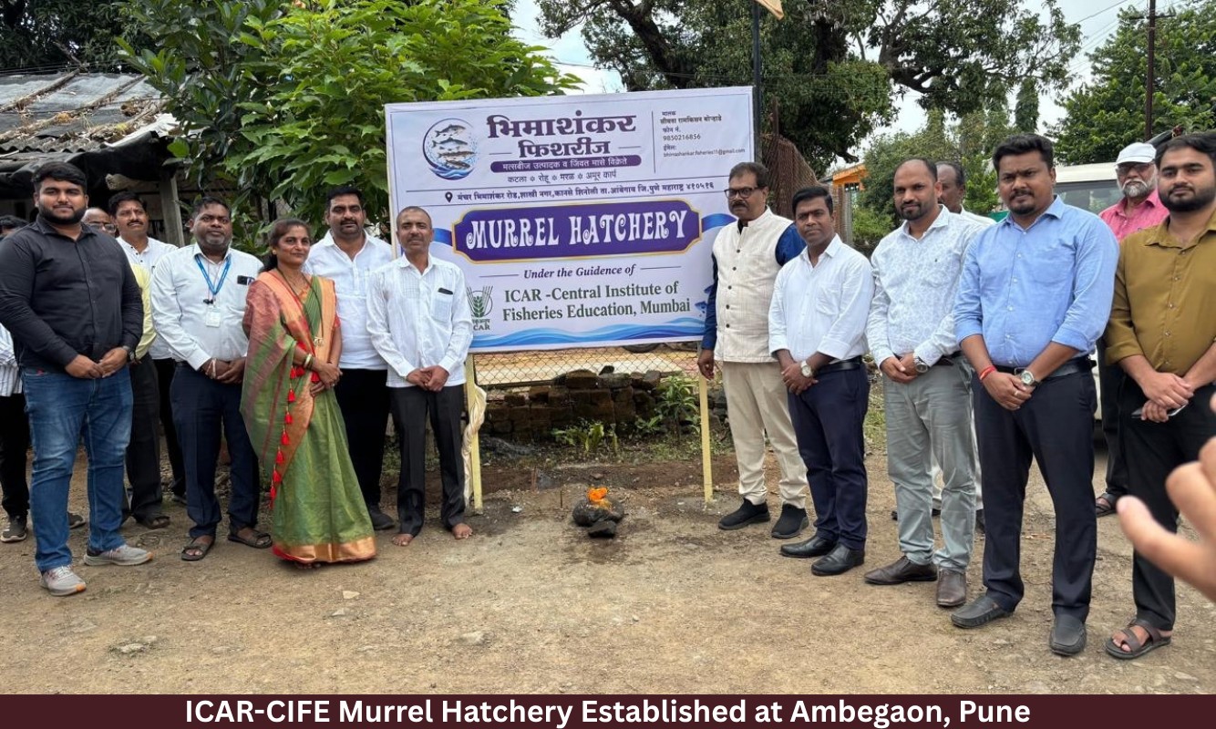 ICAR-CIFE Murrel Hatchery Established at Ambegaon, Pune