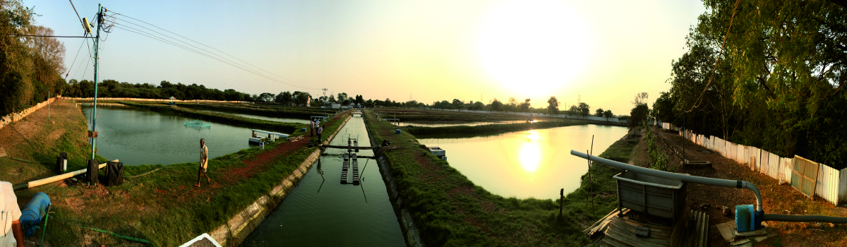kakinada centre
