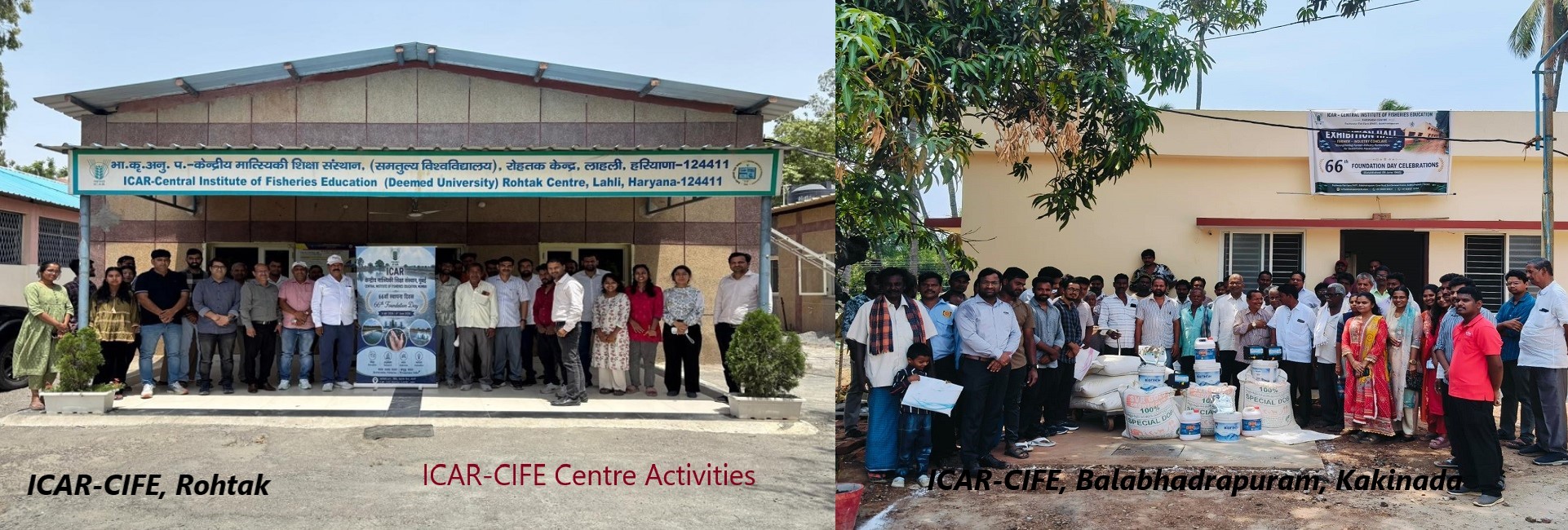 ICAR-CIFE Centre Activities