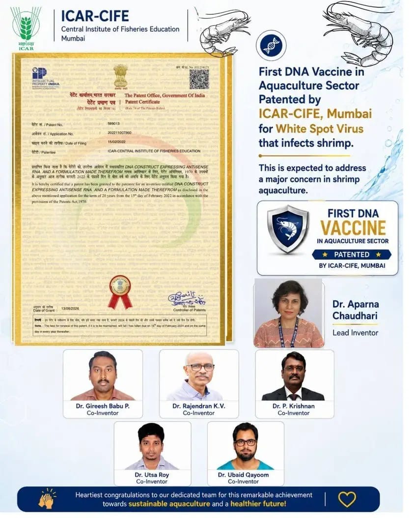 Our Achievements