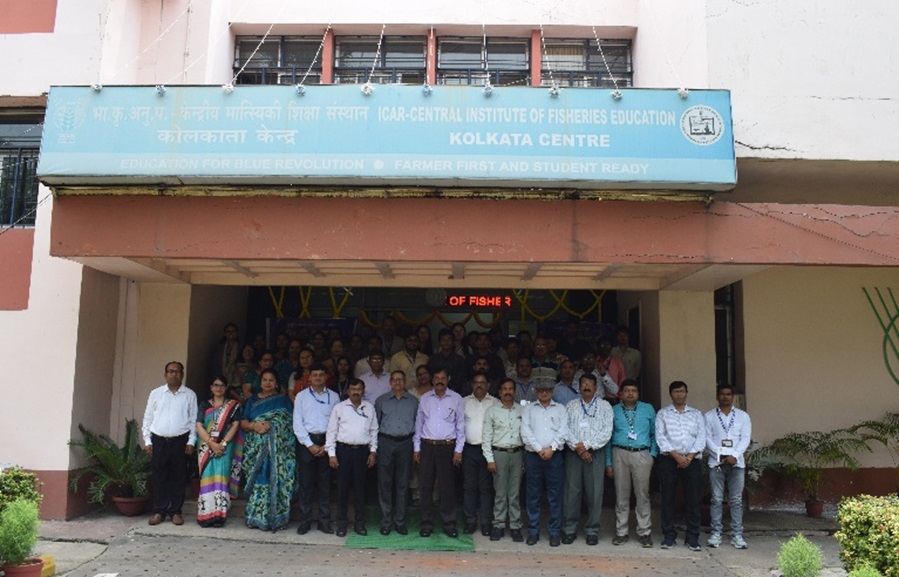 राजभाषा कार्यान्वयन