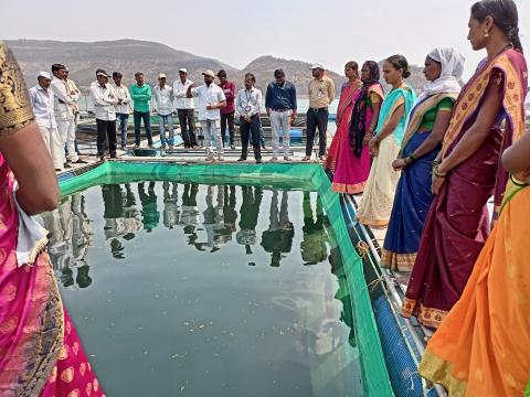 डिंभे जलाशय में पिंजरे की खेती इकाई में खेत पर प्रदर्शन