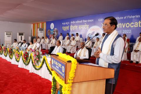 XV दीक्षांत समारोह समाचार छवि 5