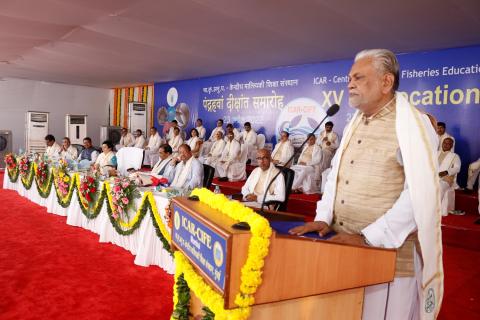 XV दीक्षांत समारोह समाचार छवि 6