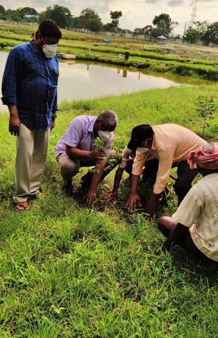 Report on Plantation Drive on ICAR’s 93rd Foundation Day