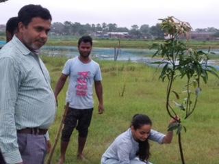 Report on Plantation Drive on ICAR’s 93rd Foundation Day