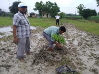 Report on Plantation Drive on ICAR’s 93rd Foundation Day