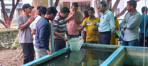 image of सजावटी मछली प्रजनन और पालन पर किसान image 3