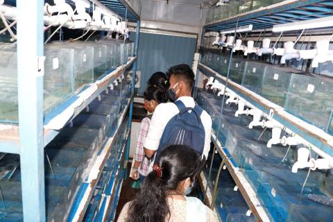 image of Training Report of SDP on Applications of Zebrafish as a Vertebrate Model image 5